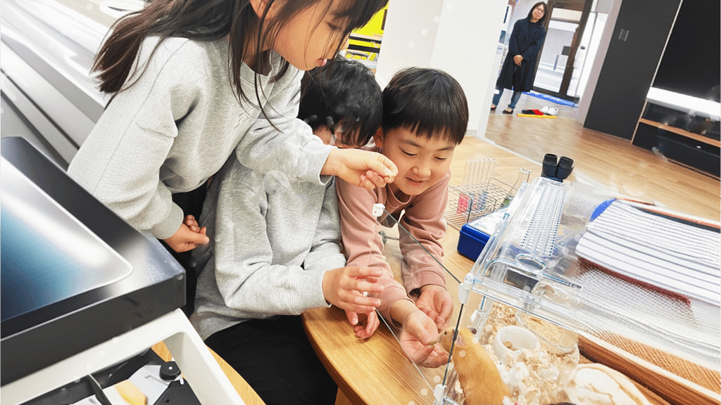 ものづくりエデュベース小学生会員