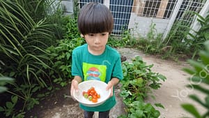 植物の栽培｜ものづくりエデュベース